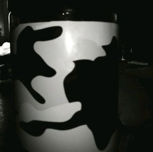 Meet your Posher, Alina